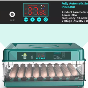 48-Egg Automatic Chicken Incubator & Hatcher