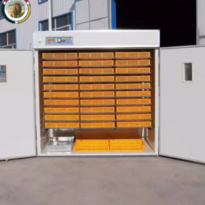 20,000-Egg Capacity Large Farm Incubator Hatcher